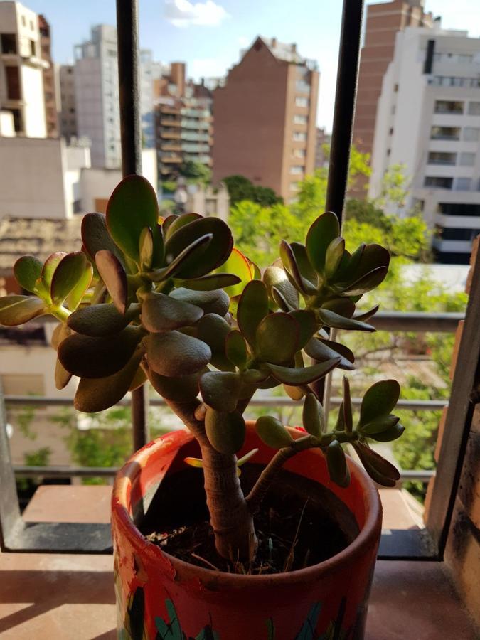 Apartamento Carlucci Кордова Экстерьер фото
